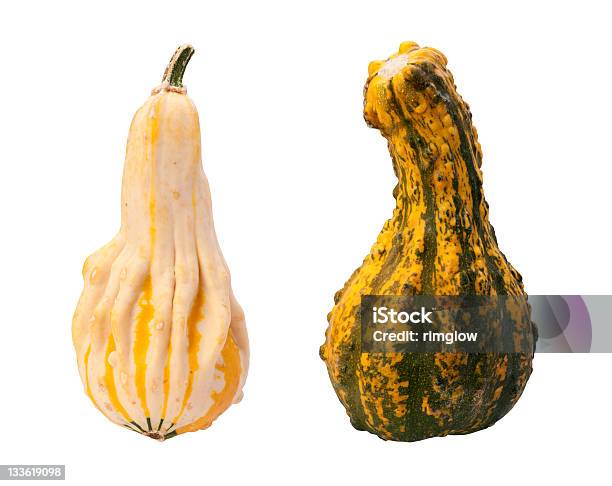 Красочный Осенний Gourds Изолированные С Обтравка — стоковые фотографии и другие картинки Без людей - Без людей, Бутылочная тыква, Горизонтальный