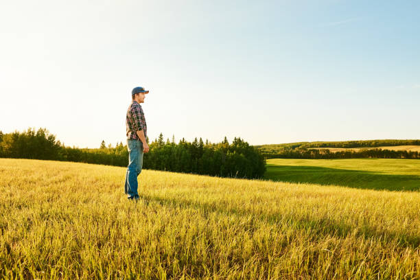 istock Young man looking at his large farm field 1336195614