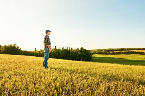 Cloudy sky on background. Handsome Indian man is on the agricultural field.