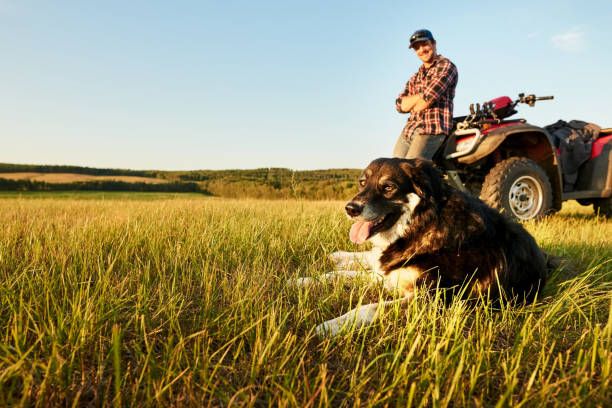 istock Dog on the field with farmer in background 1336195653