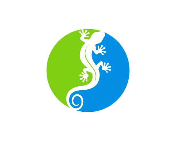 ilustraciones, imágenes clip art, dibujos animados e iconos de stock de colores azules y verdes forma de círculo con lagarto en el interior - salamandra