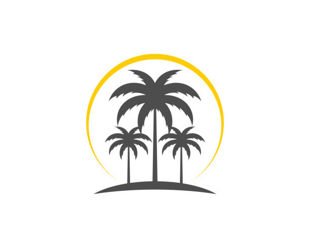 silhouette von drei palmen mit sonnenlicht dahinter - fern nature leaf forest stock-grafiken, -clipart, -cartoons und -symbole