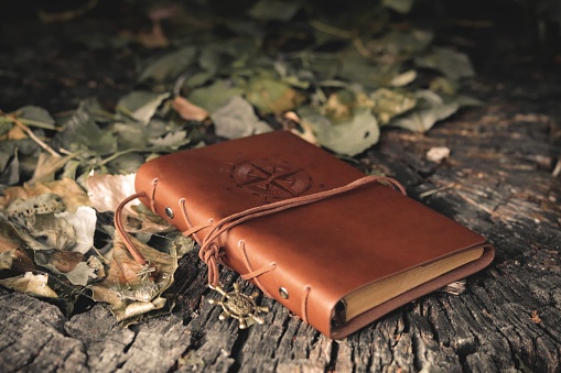 Nautical Themed Handmade Leather Artisanal Notebook Outdoors on a Stump