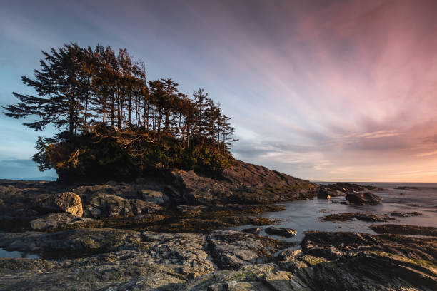 Vancouver Island Sunset Sunset along the shores of Botanical beach. vancouver island photos stock pictures, royalty-free photos & images