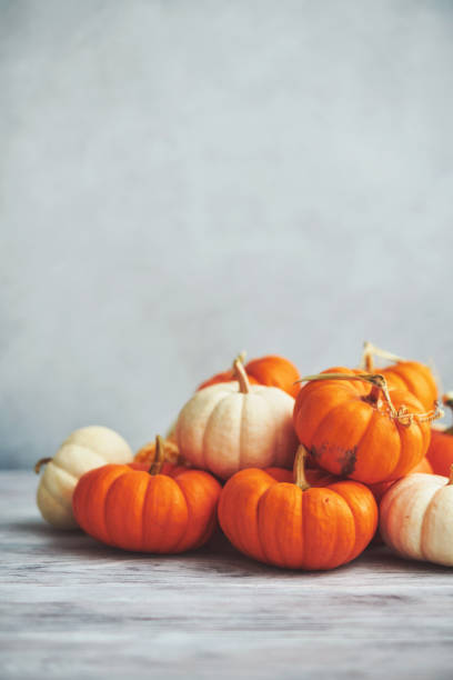 Still life background of miniature pumpkins for Thanksgiving or Fall Still life background of miniature pumpkins on rustic wooden table for Thanksgiving or Fall miniature pumpkin stock pictures, royalty-free photos & images