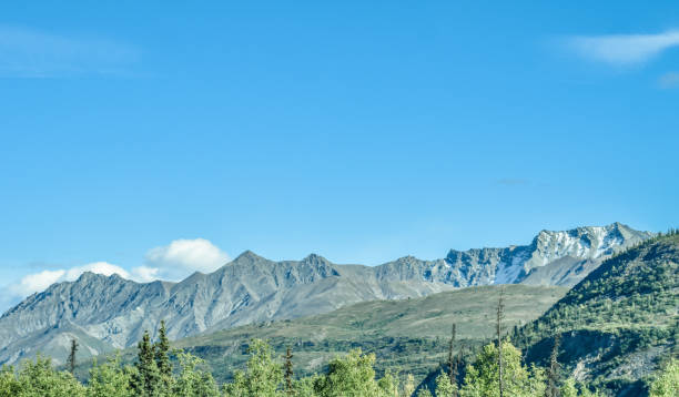 istock Mountains of Alaska in Summer 1336213571