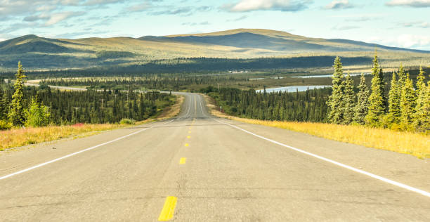 istock The Long Road Ahead 1336213615