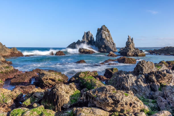 istock camel rock at bermagui during a spring afternoon on the nsw coast 1336213663
