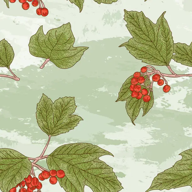 Vector illustration of American Highbush Cranberry Autumn Seamless Pattern