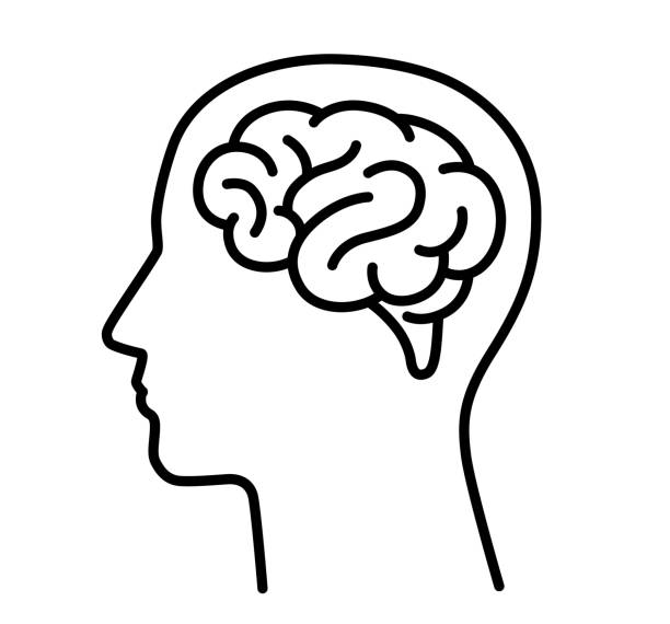 Brain and human head icon Brain and human head icon human brain stock illustrations