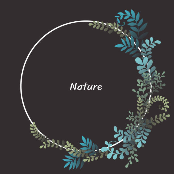 ilustrações de stock, clip art, desenhos animados e ícones de fern, ivy and weed wreath frame vector for decoration on tropical forest and nature concept. - fern forest ivy leaf
