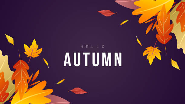 baner jesienne tło wiele liści zmienia kolor w jesiennych kolorach, dla treści online lub internetowych, baner i szablon, prosty kreskówkowy płaski styl. ilustracja vector eps 10 - autumn stock illustrations