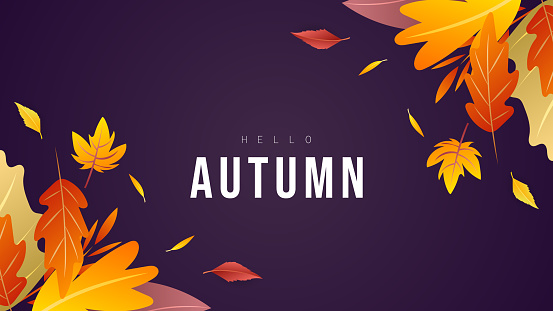 istock Banner Autumn background Many leaves change color in the autumn colors , for content online or web, banner and template, Simple cartoon flat style. illustration Vector EPS 10 1336223016