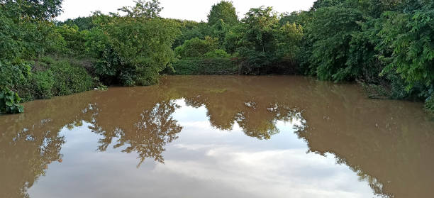 istock small pond in the field 1336223024