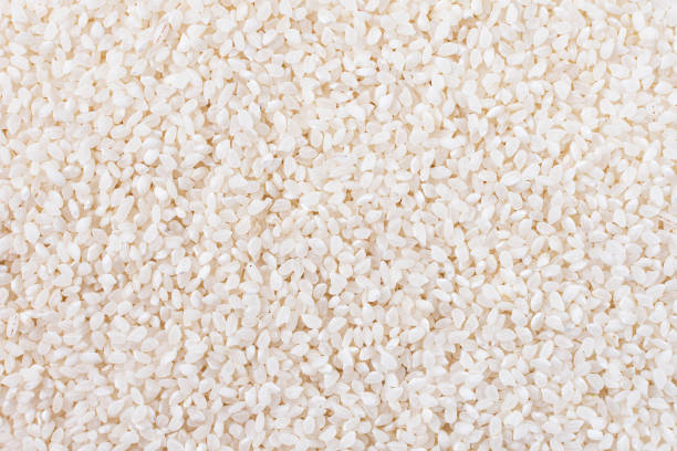 Heap of white sushi rice top view.