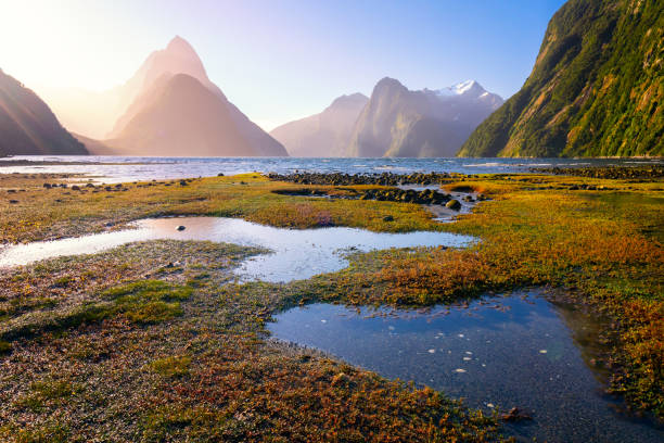 istock Milford Sound/Piopiotahi 1336223907