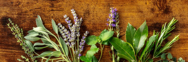 istock Aromatic herbs panorama, shot from above on a rustic wooden background 1336223948