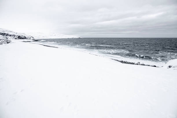 Sea on wintertime. snow on the beach.