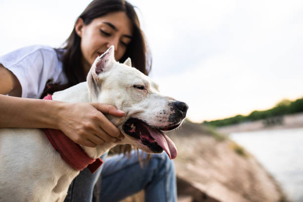 istock A happy dog cuddling with his owner by the river 1336225775