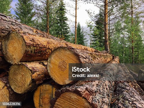 istock Forest industry timber wood harvesting Finland 1336228316