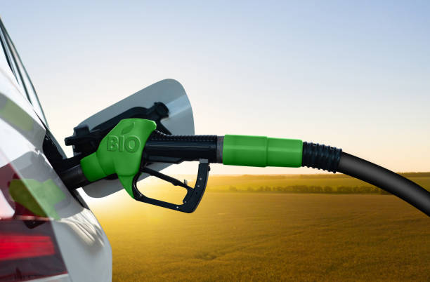 Car with biofuel nozzle stock photo
