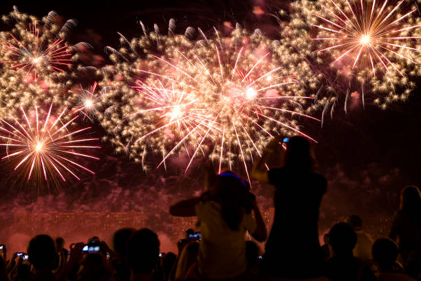 istock Beautiful fireworks in the dark evening sky. 1336230504