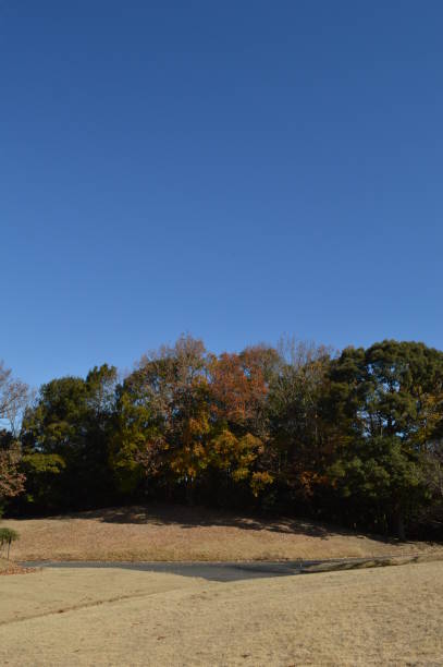 istock A cloudless blue sky at the end of autumn 1336232623
