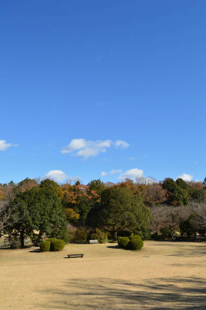 istock Sky with trees and clouds in a large area 1336232752