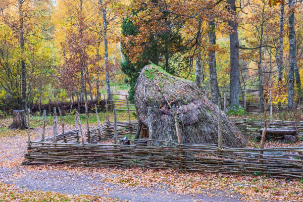 Straw hut and a wood fence in a autumn forest Straw hut and a wood fence in a autumn forest thatched roof hut straw grass hut stock pictures, royalty-free photos & images