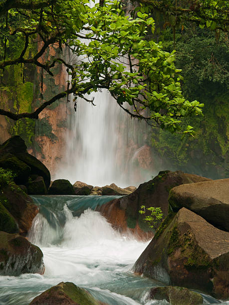 himmelblauen-wasserfall - costa rica waterfall heaven rainforest stock-fotos und bilder