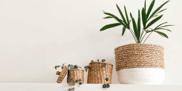 istock Indoor plants in creative planters on a shelf against a white wall.Home interior design.Biophillia design.Urban jungle. 1336237321