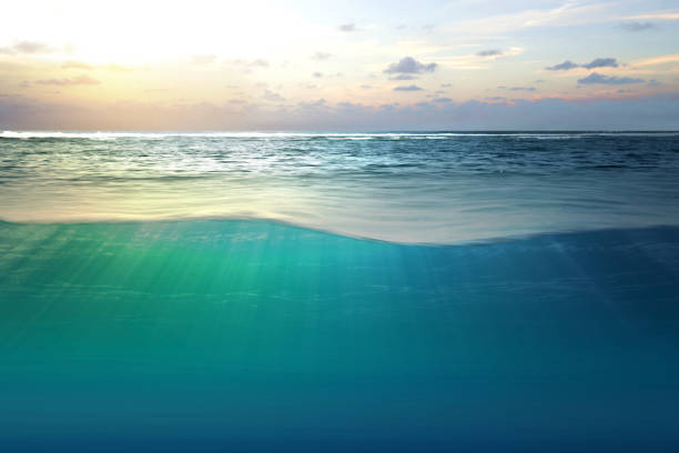 istock A wave of blue water on the ocean 1336237334