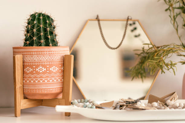 istock A cactus in a creative ceramic pot and a mirror in a decorative frame on the shelf.Creative interior design.Biophillia design.Urban jungle. 1336237416