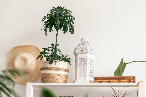 istock Home interior design.Indoor plants with decorative design details on a shelf against a white wall background.Biophillia design.Urban jungle. 1336237450
