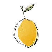 istock Lemon fruit color pencil drawing 1336238395