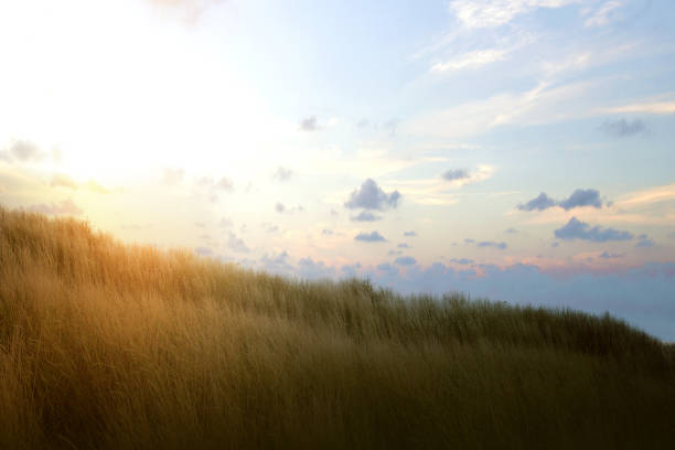 istock Landscape view of the savanna 1336238628