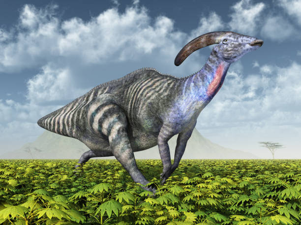 istock Dinosaur Parasaurolophus in a landscape 1336238706