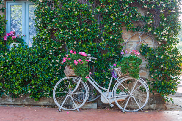 istock bicycle adorned with geraniums and colorful flowers 1336238929