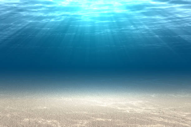 istock Underwater view of blue water and sunlight 1336240064