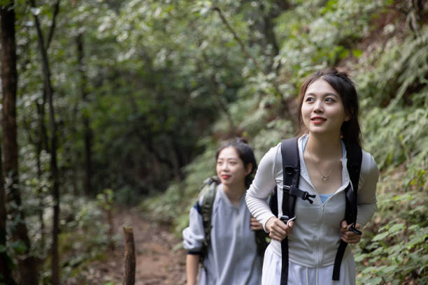 istock Two female friends hiking in forest 1336240456