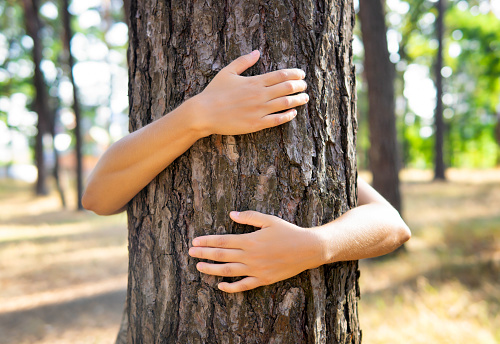 Close-up of female hands hugging a tree in a park