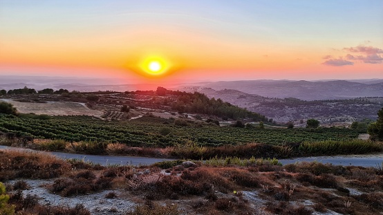 Sunset in vineyards of Gush Etzion, Israel