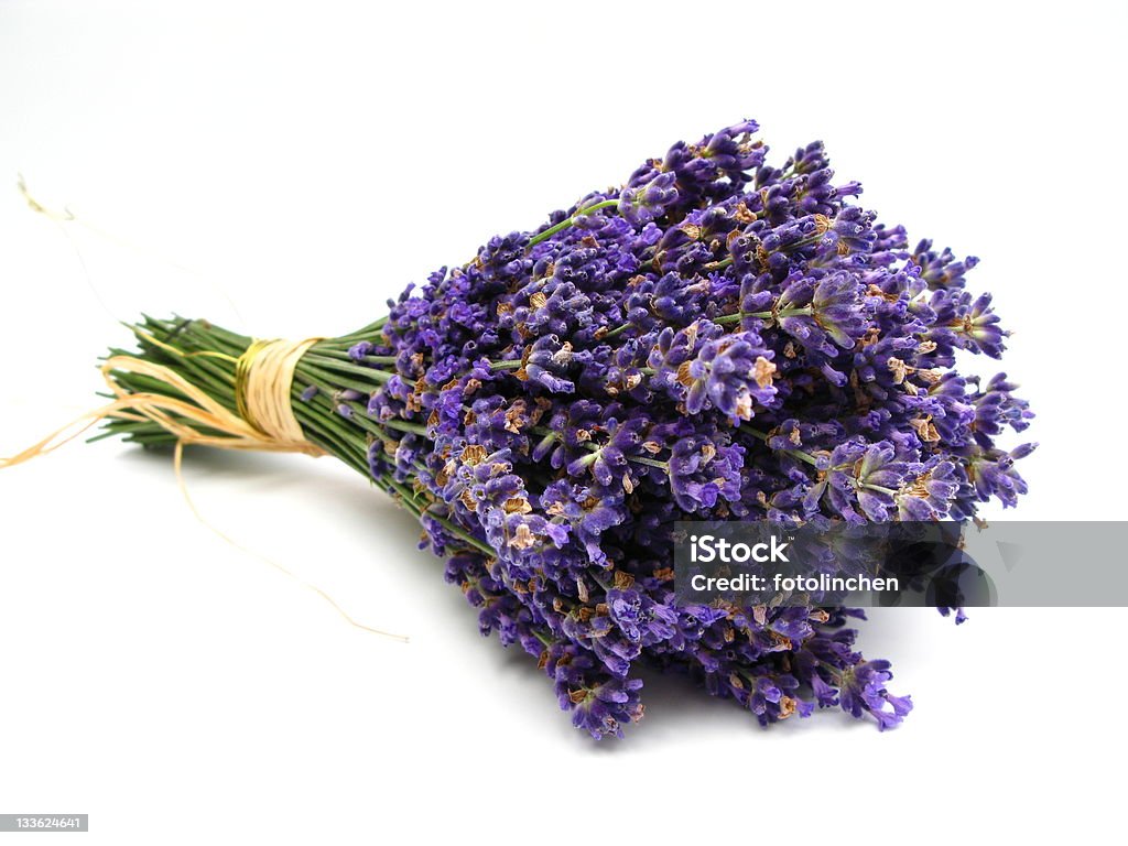 Lavendel - Lizenzfrei Blume Stock-Foto