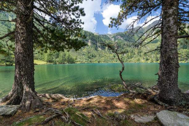 istock relax and enjoy nature 1336246925