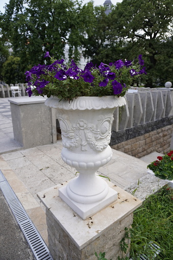 Arad,Romania - July 20, 2021:Beautiful Flower pot in the park