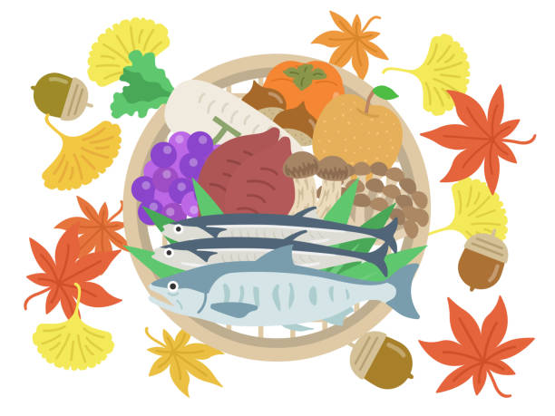 ilustrações de stock, clip art, desenhos animados e ícones de illustration set of autumn ingredients on a colander. - radish white background vegetable leaf