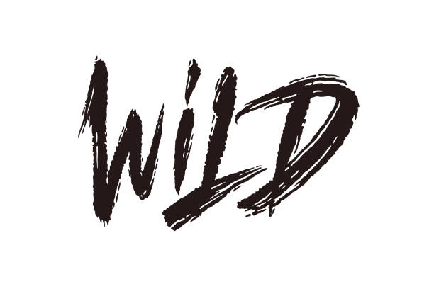 illustrazioni stock, clip art, cartoni animati e icone di tendenza di lettering vettoriale selvaggio - fauna selvatica