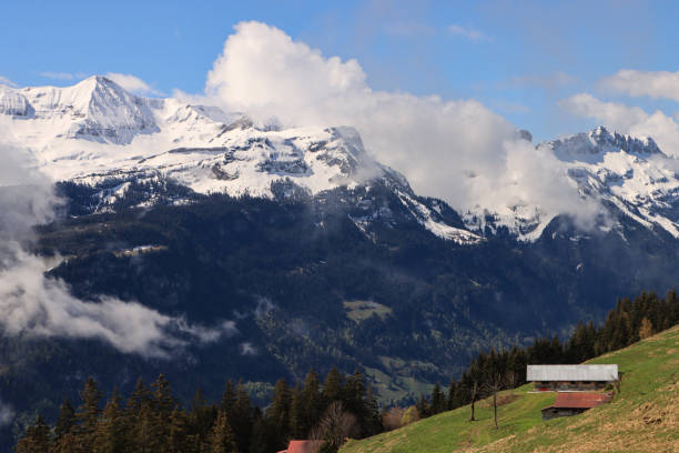 View from the Planalp (Rothorn) to the Faulhorn