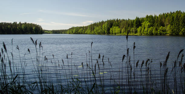 istock Mardanga lake with peninsulas, Latvia 1336253198