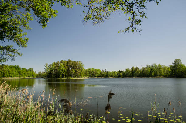 istock Kalvene lake with island in spring day, Latvia 1336253226